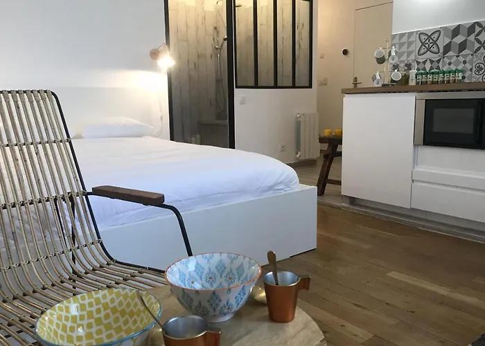 La Suite De Leon Appartement D - Lyon Garibaldi